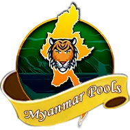 boyasolid9.com